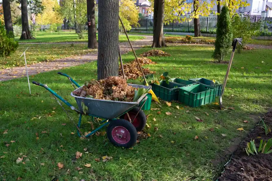 Reliable Yard Cleanup Yard Cleanup